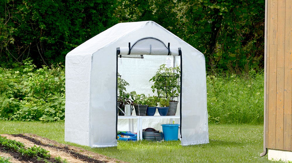 A small portable greenhouse in a backyard