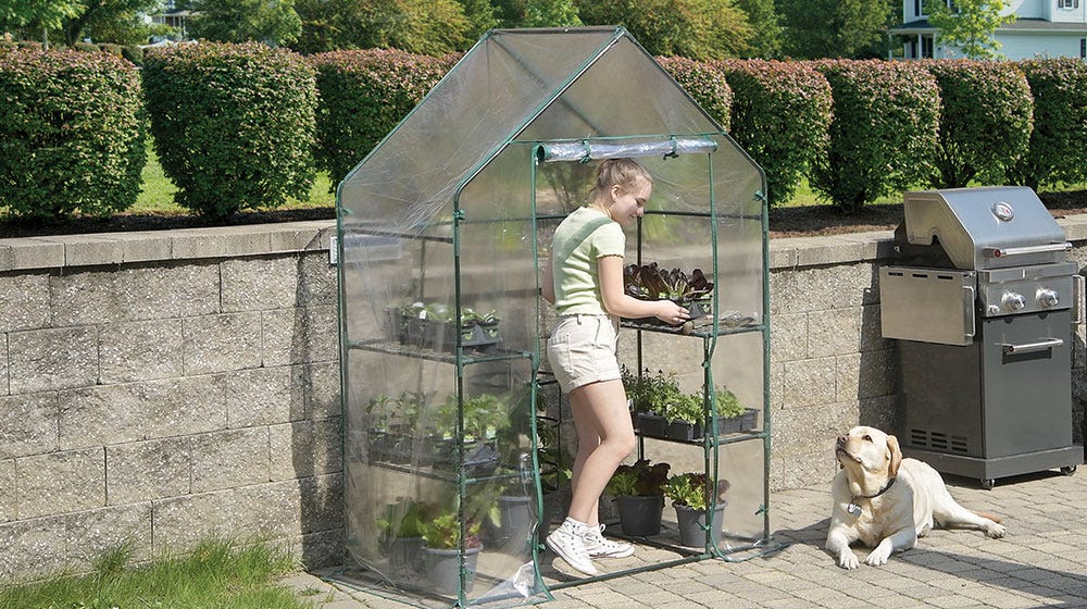 Small Greenhouse for Patio