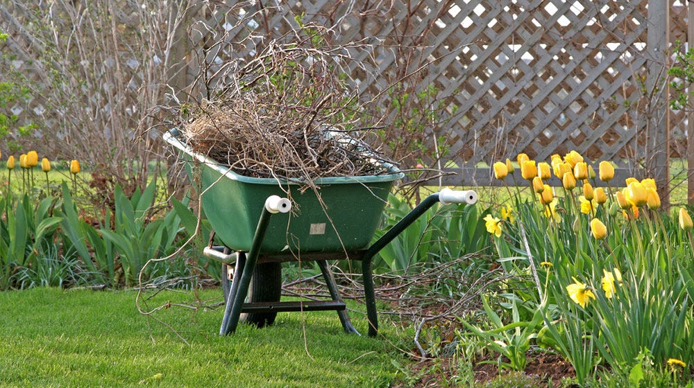 Simple Steps for an Efficient, Effective Spring Yard Cleanup