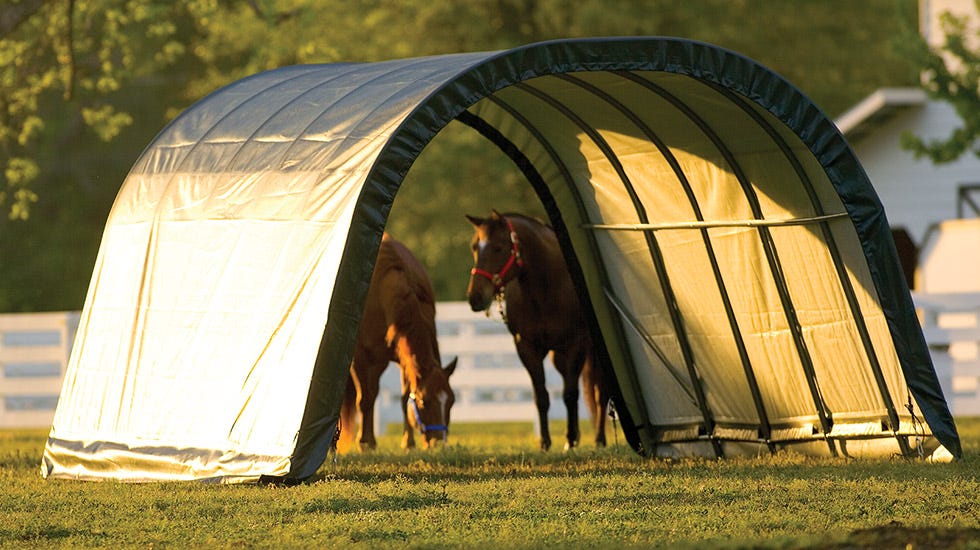 Protecting Animals from the Summer Heat and Sun