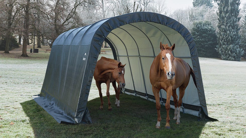 Caring for Winter Horses