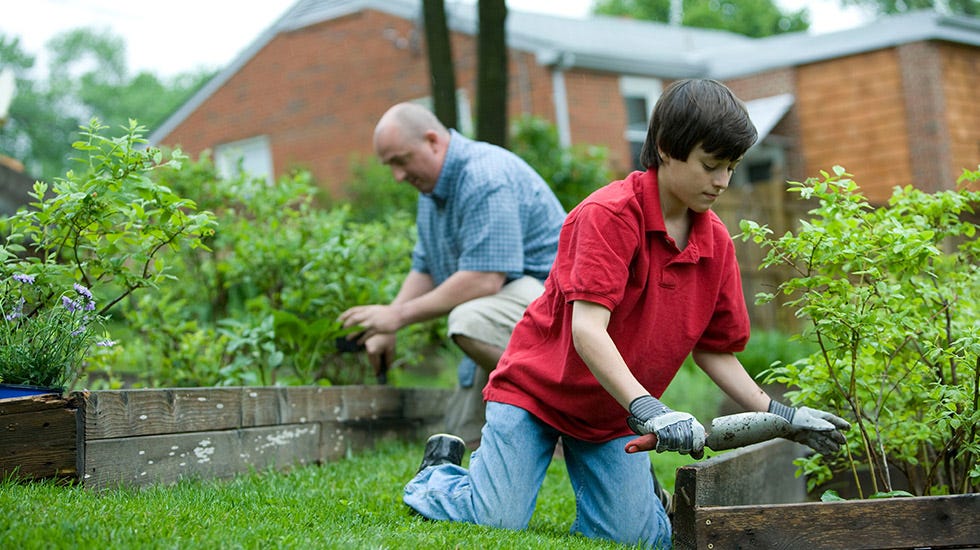 Rediscovering The Outdoors: Backyard Activities for Family Fun