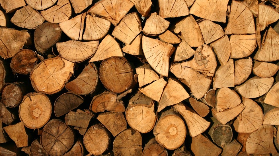 Improve Your Firewood Storage: 4 Basics Tips on What You Need to Know