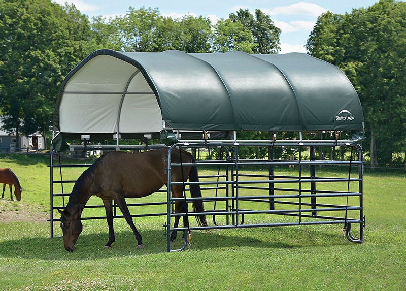 Equine + Livestock