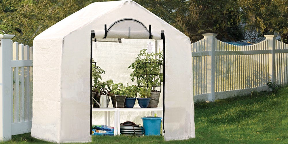 Use a greenhouse to grow vegetables in the fall