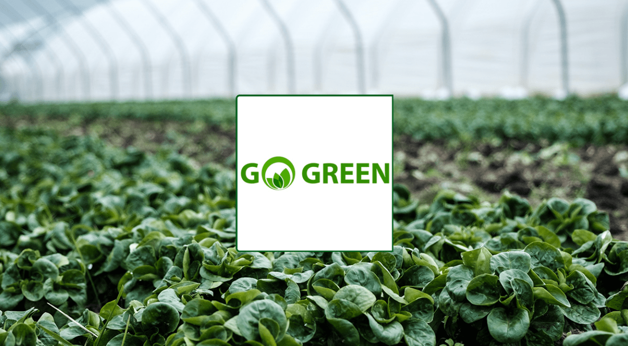 Green initiatives